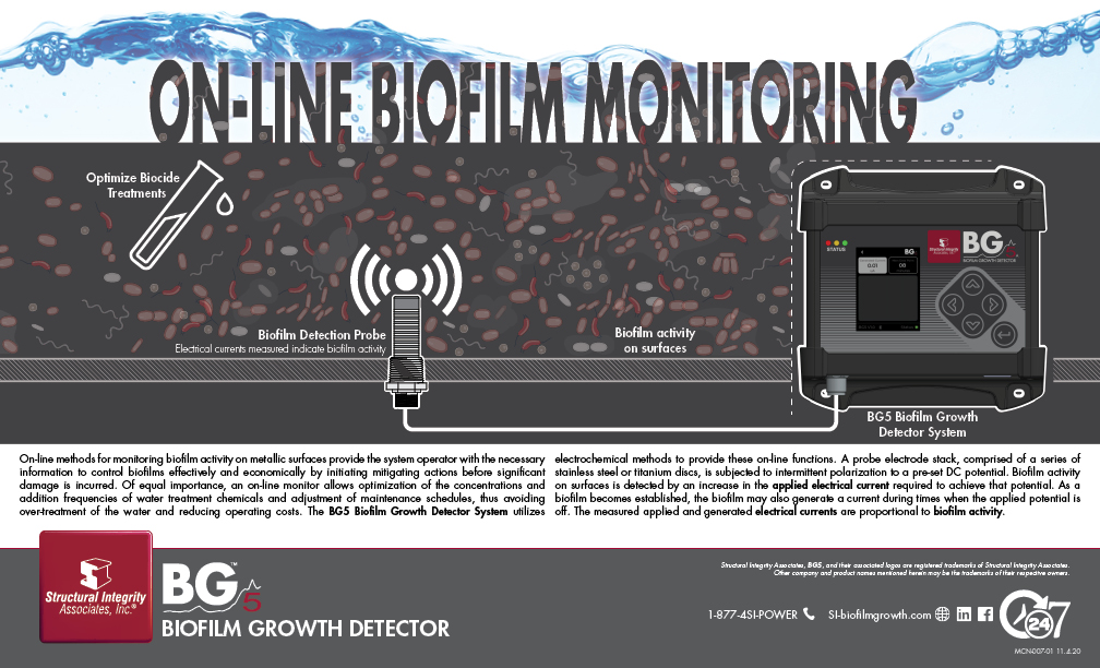 On-Line Biofile Monitoring with BG5
